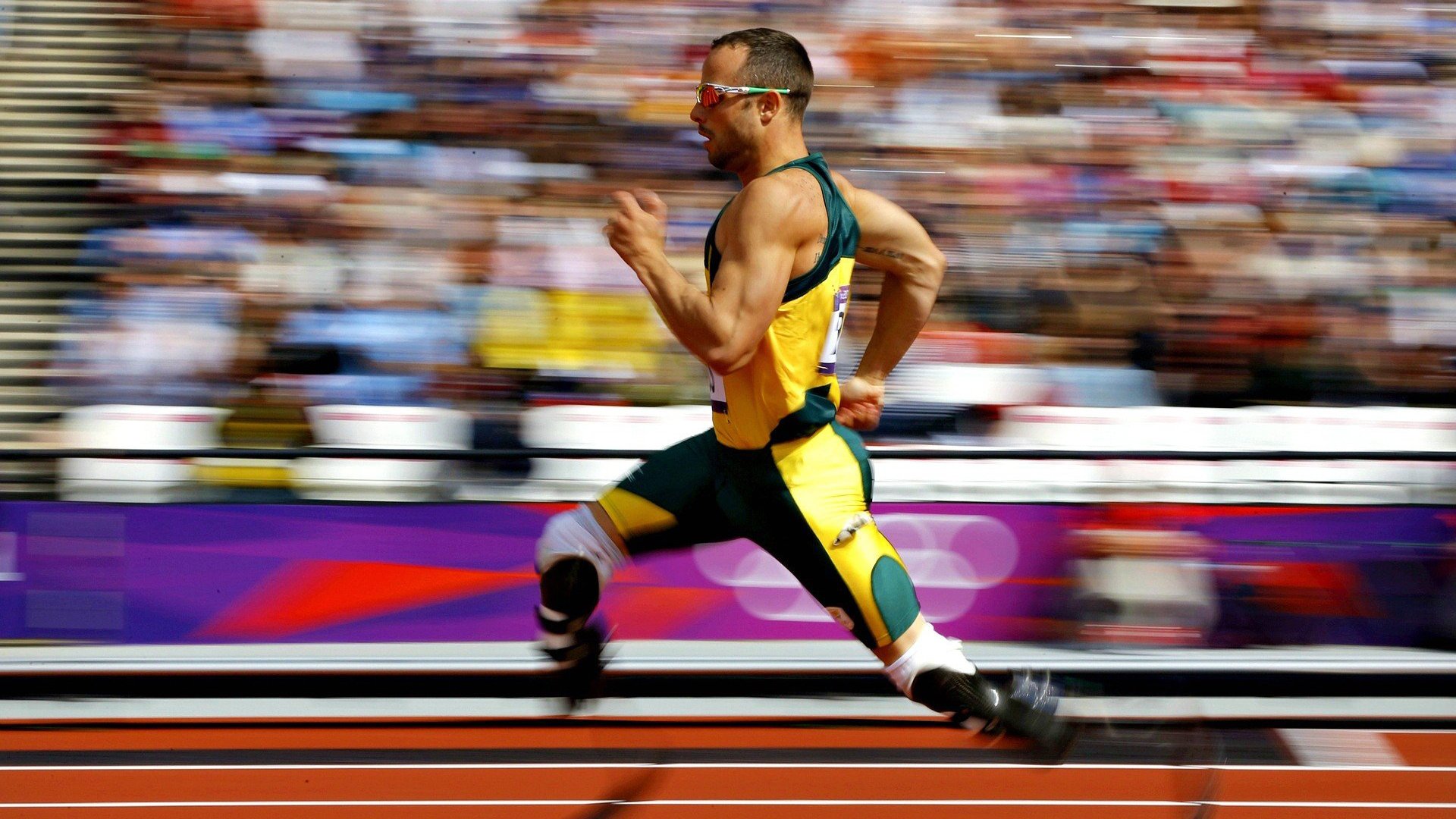 _北京体育嘉年华：全民参与的运动盛事_，北京体育比赛活动